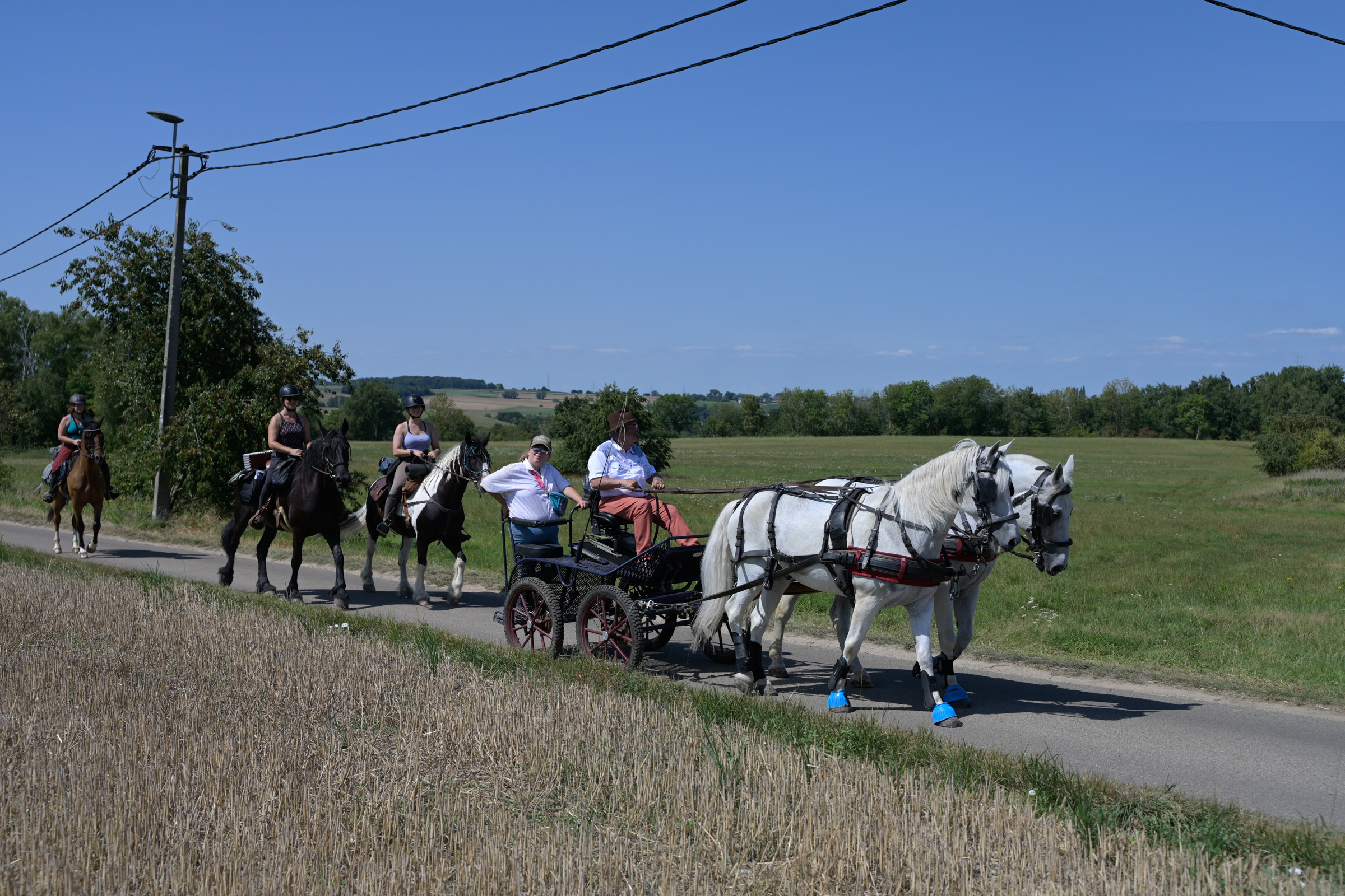 Cavaliers et attelage en route